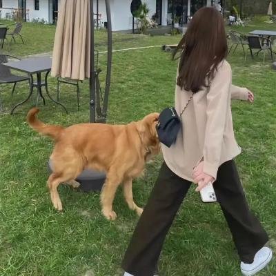 粉红色的梦