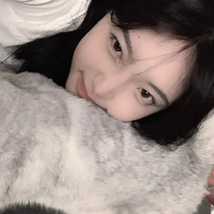 一只小蜘蛛